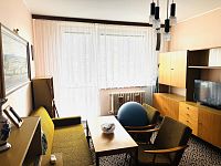 Pronájem bytu 1+1 v Brně-Králově Poli - IMG_1265.jpeg