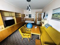 Pronájem bytu 1+1 v Brně-Králově Poli - IMG_1277.jpeg