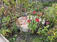 Rodinný dům Veselíčko, okr.Přeřov - unnamed (26).jpg