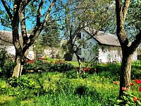 Prodej RD - chalupy 150 m2, pozemek 558 m2, Sovenice - 20250422_144854.jpg