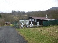 Nabízím prodej chaty v Děčíně Želenice u Rozvodny. - P1100963.JPG