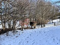 Prodej rodinného domu Lopeník - IMG_4964.jpeg