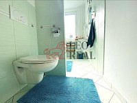 Pronájem bytu 4+1 v Hodoníně, 86 m2 - IMG_5995.jpeg