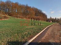 Nabízím prodej tří stavebních pozemků v obci Ludvíkovice Děčín. - 03.jpg