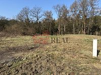 Nabízím prodej tří stavebních pozemků v obci Ludvíkovice Děčín. - IMG_2659.jpeg