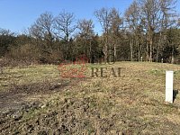 Nabízím prodej tří stavebních pozemků v obci Ludvíkovice Děčín. - IMG_2659.jpeg