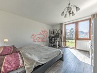 Prodej dvougeneračního rodinného domu - Čejetice, Mladá Boleslav - WE6A6509-HDR.jpg