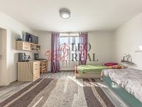 Prodej dvougeneračního rodinného domu - Čejetice, Mladá Boleslav - WE6A6511-HDR.jpg