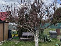 Prodej zahrady 379 m², Bílina - 04.JPG