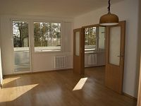 Pronájem nemovitosti obklopené zeleni - 01446C54-FF00-4CFD-9568-E7DBECDC64A8_1_100_o.jpeg