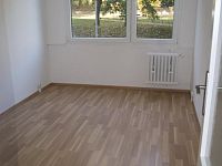 Pronájem nemovitosti obklopené zeleni - 0C0677E1-2977-4A54-B09E-EC16774A3BD7_1_100_o.jpeg