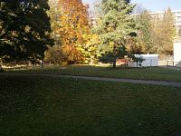 Pronájem nemovitosti obklopené zeleni - 910AD9AB-95BD-4FFF-9516-E1F66B3CB5EB_1_100_o.jpeg