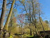 Prodej útulné zrekonstruované chaty u řeky Úslavy, Žďár u Blovic - reka1.jpg