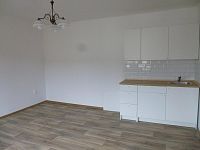 Nabízím pronájem bytu 1+1 v cihlové zástavbě Děčín -Želenice. - P1100380.JPG