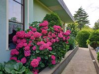 Prodej rodinného domu 350 m², pozemek 918 m² - 6.jpg