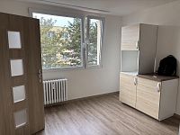 Nabízím pronájem bytu 1+1 Děčín VI. - IMG_1216 (1).jpeg