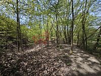 Malebné místo, RD, maringotka, letní kuchyně, velká zahrada, Ješovice - u.jpg