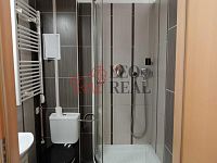 Nabízím pronájem bytu 1+kk v ulici Bezručova Děčín. - IMG-20260610-WA0011.jpg