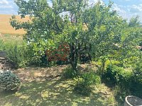Pavlovice, okr.Vyškov, prodej chaty - IMG_5515.jpg