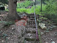 Prodej útulné rekreační chaty se zahradou 486 m² – Jesenice, Osnice - IMG_5828.jpeg