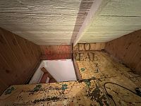 Prodej útulné rekreační chaty se zahradou 486 m² – Jesenice, Osnice - IMG_5845.jpeg