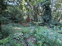 Prodej útulné rekreační chaty se zahradou 486 m² – Jesenice, Osnice - IMG_5856.jpeg