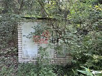 Prodej útulné rekreační chaty se zahradou 486 m² – Jesenice, Osnice - IMG_5869.jpeg