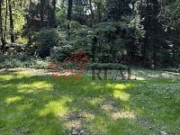 Prodej útulné rekreační chaty se zahradou 486 m² – Jesenice, Osnice - IMG_5870.jpeg