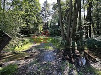 Prodej útulné rekreační chaty se zahradou 486 m² – Jesenice, Osnice - IMG_5873.jpeg