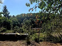 Prodej RD 3+1, 78 m2, pozemek 810 m2, Mladá Boleslav - 20260814_105336.jpg