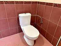 Cihlový Byt 2+1, Trutnov, Libeč, ul. Královecká - IMG_7302.jpeg