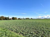 Stavební parcela na okraji města Dašice - IMG_7788.jpeg