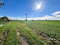 Stavební parcela na okraji města Dašice - IMG_7794.jpeg