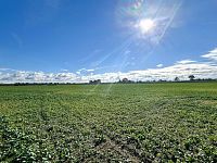 Stavební parcela na okraji města Dašice