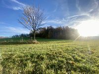 Rozsáhlý pozemek u lesa v Mníšku – přes 3,4 ha přírody a klidu s investičním potenciálem - IMG_3997.jpeg