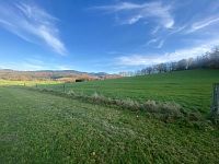 Rozsáhlý pozemek u lesa v Mníšku – přes 3,4 ha přírody a klidu s investičním potenciálem - IMG_3999.jpeg