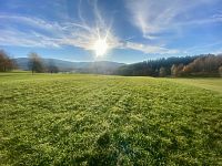 Rozsáhlý pozemek u lesa v Mníšku – přes 3,4 ha přírody a klidu s investičním potenciálem