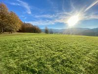 Rozsáhlý pozemek u lesa v Mníšku – přes 3,4 ha přírody a klidu s investičním potenciálem - IMG_4006.jpeg