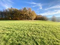 Rozsáhlý pozemek u lesa v Mníšku – přes 3,4 ha přírody a klidu s investičním potenciálem - IMG_4007.jpeg