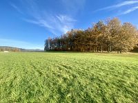 Rozsáhlý pozemek u lesa v Mníšku – přes 3,4 ha přírody a klidu s investičním potenciálem - IMG_4008.jpeg