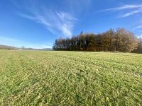 Rozsáhlý pozemek u lesa v Mníšku – přes 3,4 ha přírody a klidu s investičním potenciálem - IMG_4009.jpeg