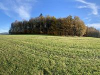 Rozsáhlý pozemek u lesa v Mníšku – přes 3,4 ha přírody a klidu s investičním potenciálem - IMG_4010.jpeg