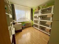 Krásný byt 3+1 s lodžií v udržovaném domě po zateplení - IMG_4352.jpeg