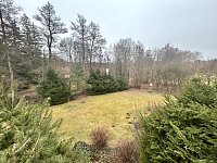 Chata – chalupa v nádherné přírodě, obec Lukavička, okr. Chrudim - IMG_0412.jpeg