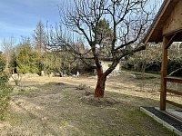 Kousek přírody jen pro vás – zahrada s chatkou a potokem, CENA K JEDNÁNÍ - IMG_5568.jpeg