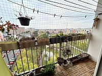 Byt 2+1, Pardubice, ul. Luďka Matury - IMG_1957.jpeg