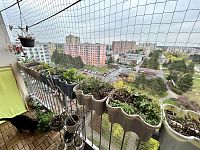 Byt 2+1, Pardubice, ul. Luďka Matury - IMG_1963.jpeg