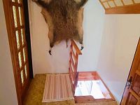 Rodinný dům s garáží a zahradou - IMG_20260502_140216.jpg