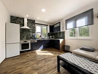 Prodej moderní rekreační chaty 52 m², pozemek 498 m² v Týništi nad Orlicí - Kuchyňský kout + obývací pokoj 2.jpg