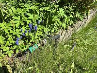 Zahrada v obci Klášterec na Ohří - IMG_4243.jpeg